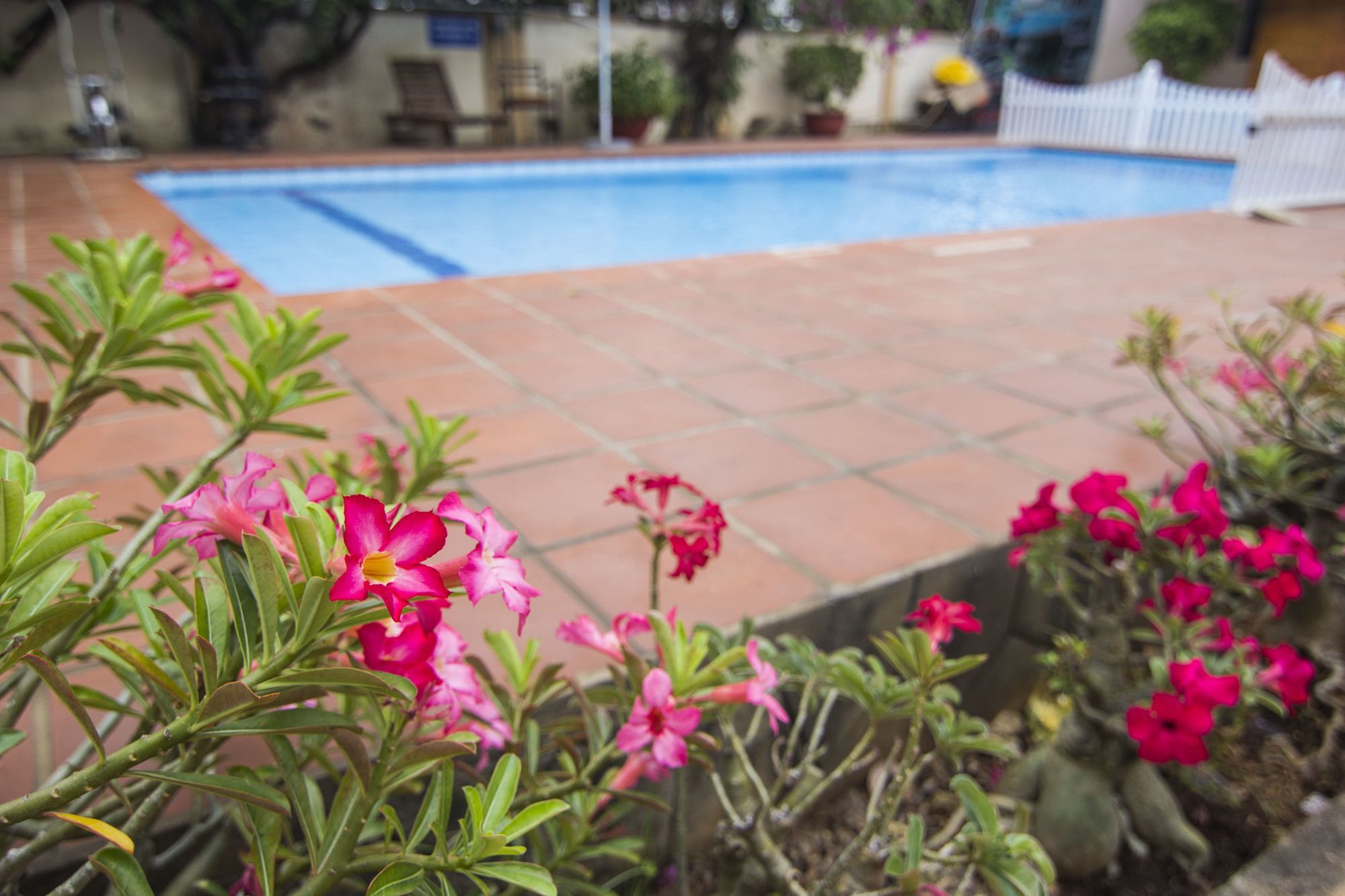 Sông Hồng Hotel Vung Tau Exterior foto